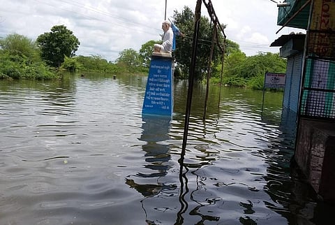 सरदार सरोवर बांध की वजह से गांव चिखलदा में डूबते पेड़। फोटो: रहमत