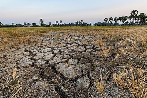 Agriculture bore a fourth of the total losses caused by climate change-related disasters. Photo: Getty Images