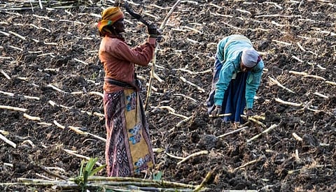 Around 80 per cent of the extreme poor and 75 per cent of moderate poor in the world live in rural areas. Photo: Getty Images