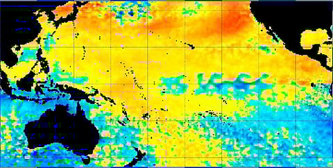A map displaying a sea surface temperature anomaly in the Pacific Ocean. Photo: National Oceanic and Atmospheric Administration