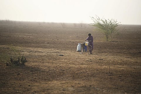 गुजरात उन पांच राज्यों में शामिल है जहां की 50 प्रतिशत से अधिक भूमि मरुस्थलीकरण अथवा क्षरण की शिकार है। फोटो: आदित्यन