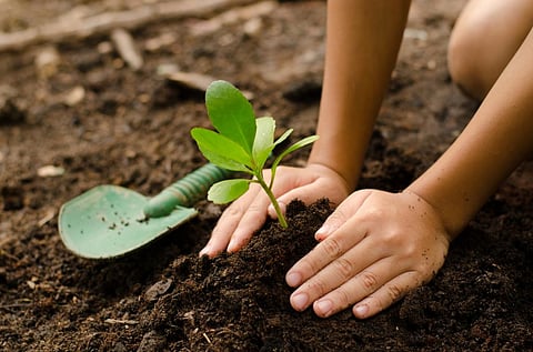 Increasing nutritional content in food, spreading awareness about organic farming and increasing greenery are the reasons behind engaging students. Photo: Getty Images