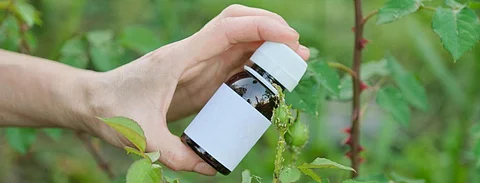 Paraquat has been banned in 32 countries including Switzerland, where herbicide producing company Sygenta is based. Photo: Getty Images