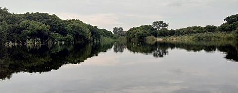 Perennial rivers turning seasonal a disturbing trend