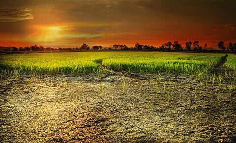 Photo: Giriraj Amarnath