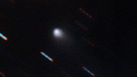 New comet named C/2019 Q4. Photo: Gemini Observatory/NSF/AURA