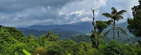 Monsoon will withdraw between Oct 14 and 24, predicts scientist