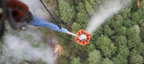 A wildfire recovery guide for California