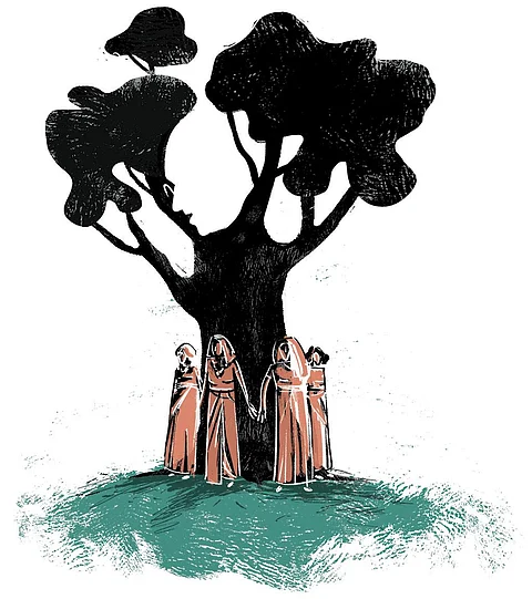 इलेस्ट्रेशन: तारिक अजीज