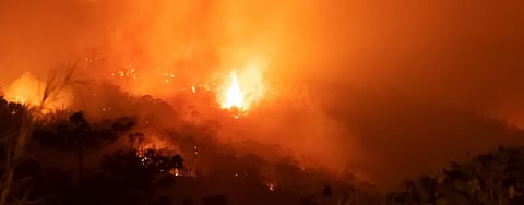 ‘The Amazon recycles water’