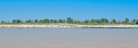 'Climate change reversal unlikely; mantra is to adapt'