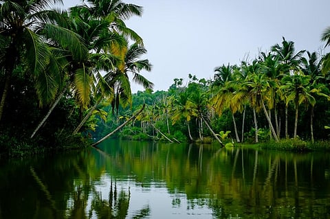 Centre, US agency launch Forest-PLUS 2.0