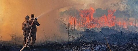 Brazil has deployed 44,000 military troops to contain the fire leaping through the Amazon rainforest (Photo: Mayke Toscano/Secom-MT)