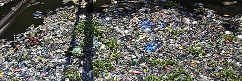 No ban on single-use plastics, to be phased out by 2022