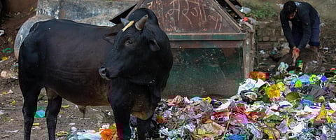 No plastic ban: What it means for India?