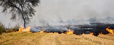 Advanced air pollution warning system to predict stubble burning areas near Delhi