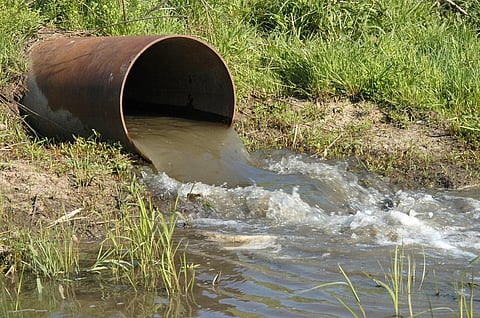 Photo: Wikimedia commons