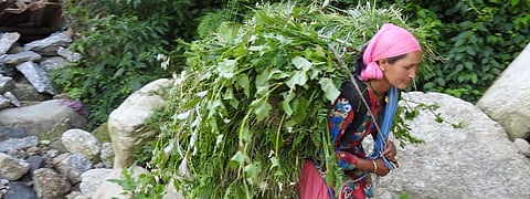 Community-based natural resource management in Himachal still weak