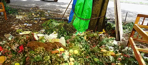 World Food Day 2019: Why we must prevent food wastage