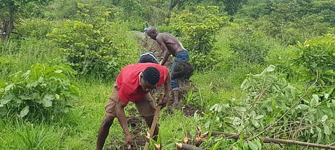 World Food Day 2019: FAO calls for healthy diets to build zero-hunger world