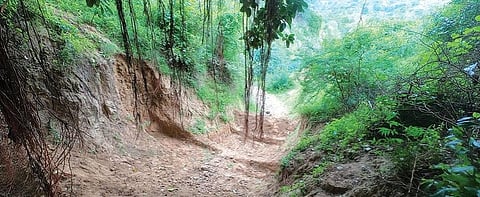 Ravines such as these have started appearing in Sarnal village of Gujarat’s Kheda district. Photo: Adithyan PC