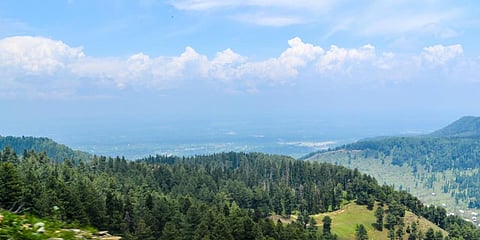 With state under lockdown, J&K FAC issues record forest clearances