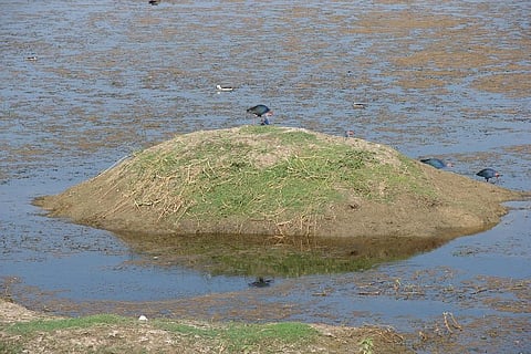 Photo: Kumar Sambhav Shrivastav