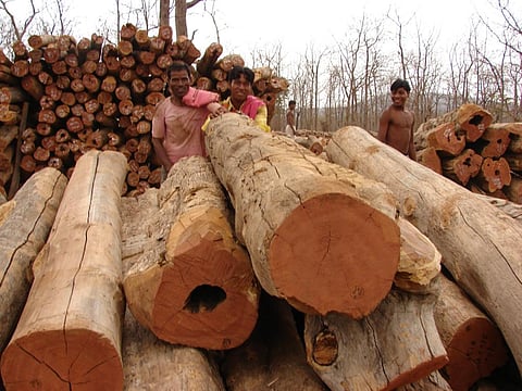 Photo: Kumar Sambhav Shrivastav