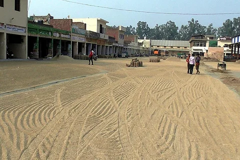 हरियाणा के अंबाला स्थित नारायणगढ़ मंडी में बिखरा धान। फोटो: मलिक असगर हाशमी