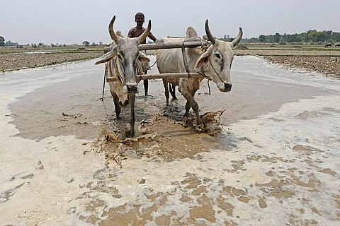 बिहार के किसानों को प्रधानमंत्री किसान सम्मान निधि नहीं मिल रही है। फोटो: विकास चौधरी