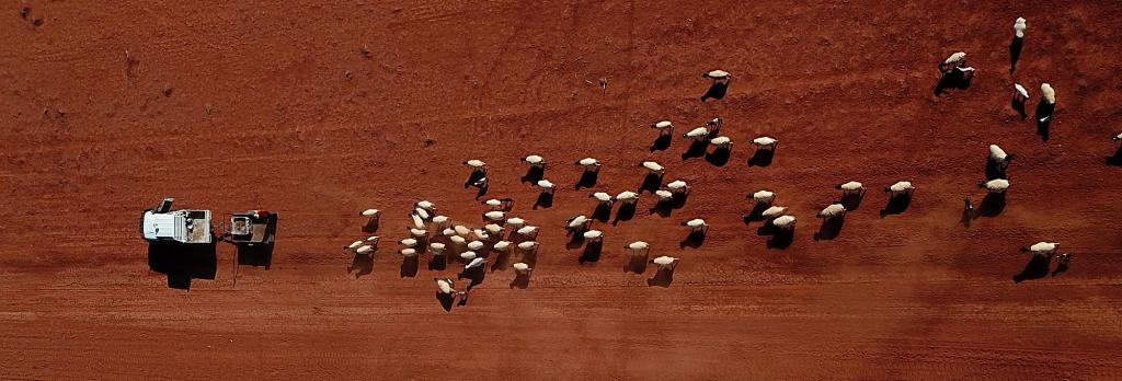 11,000 scientists warn: Climate change isn’t just about temperature