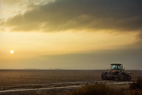 Why an American farmer commits suicide