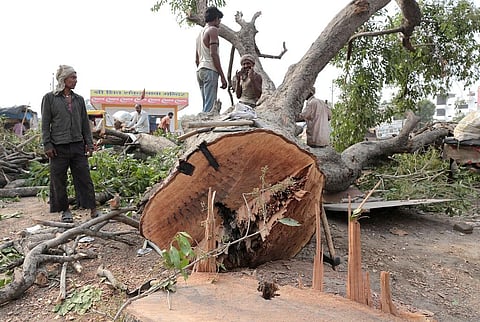 प्रतीकात्मक तस्वीर: विकास चौधरी/ सीएसई
