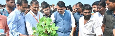 Unseasonal Maharashtra rains damage crops on 7 million hectares: Govt