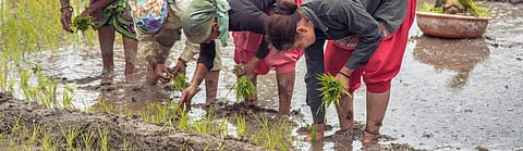 Loopholes galore in implementation of PM-Kisan