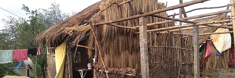 Bulbul could have damaged Sundarbans more than Aila but for the low tides