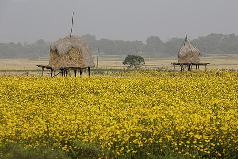 Photo: Vikas Choudhary