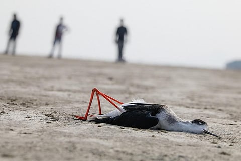 File Photo: Vikas Choudhary