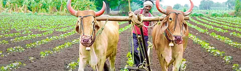 Making agriculture sustainable is good and not for climate alone