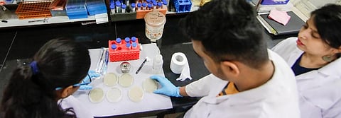 Ritam Das, Saroj Chaudhary and Ritu Arora hunt for bacteriophages near Acharya Narendra Dev College. Photo: Vikas Choudhary