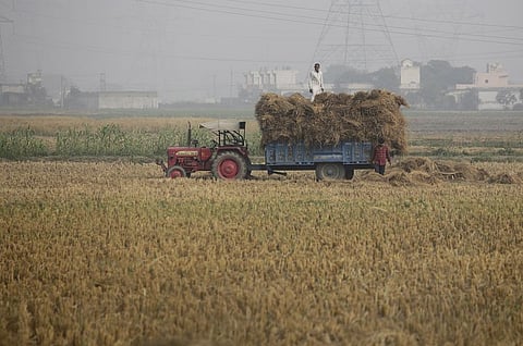 Photo: Vikas Choudhary