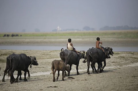 फोटो: विकास चौधरी