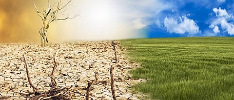 Graduation and deepening: moving climate policy forward