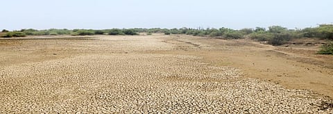 Indian ICA proposal finds partial support in new drafts on mitigation actions