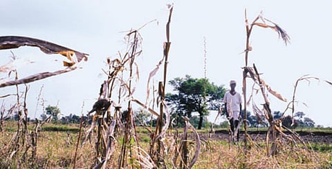 AOSIS ultimatum to BASIC