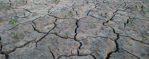 What should be India's position at the fourth round of negotiations on Climate Change in Buenos Aires, Argentina, from November 2-13?