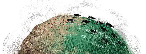 Under the microscope: LULUCF