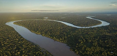 Amazonian deforestation can trigger abrupt carbon releases into the atmosphere, amplify climate change and reduce remaining emission budgets. Photo: Getty Images