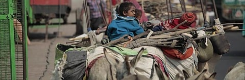 Experts believe that by 2050, more than 200 million people will be forced to leave their homes. Photo: Vikas Choudhary