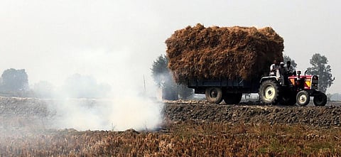Stubble burning in Haryana. Photo: Vikas Choudhary